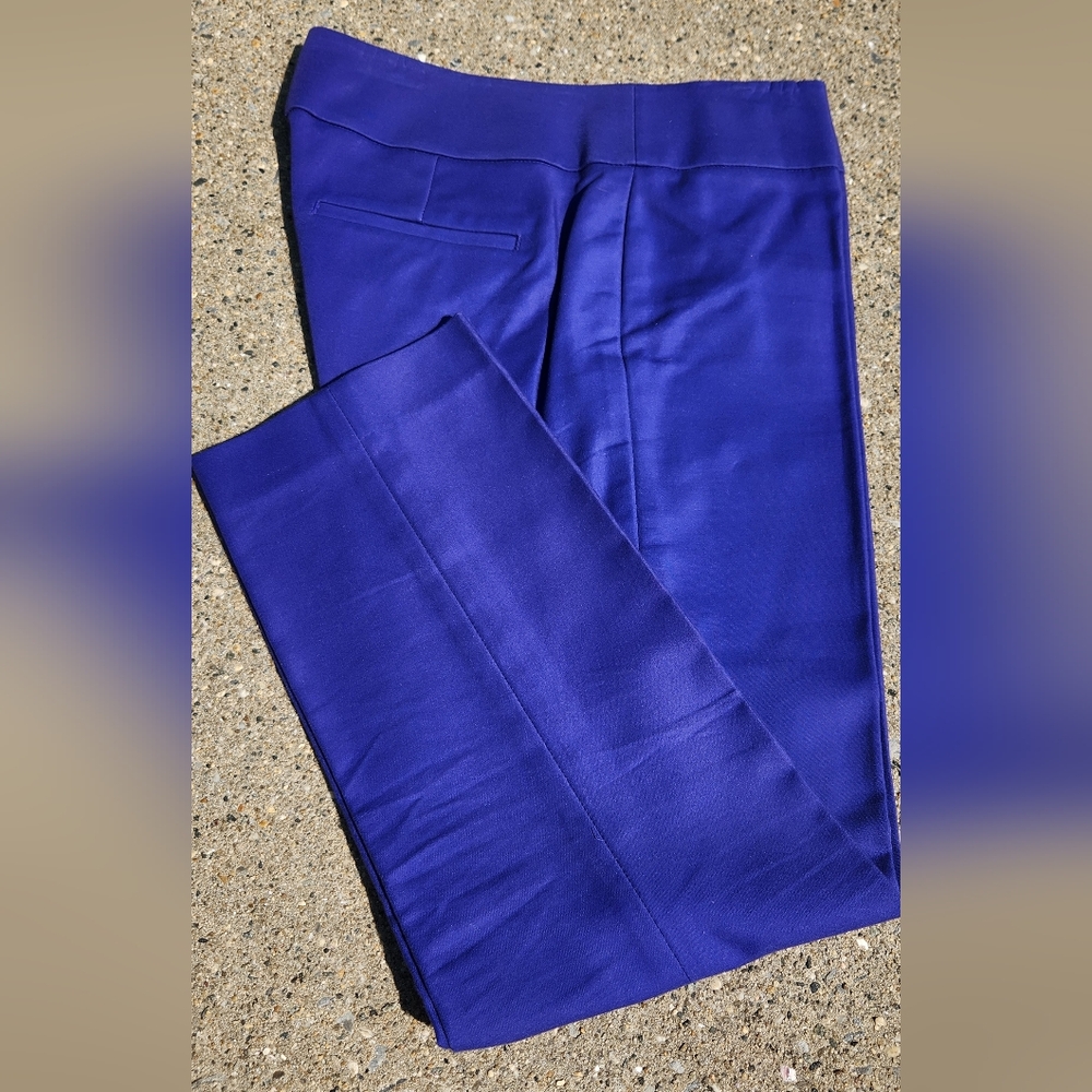 LOFT DEEP PURPLE CAPRI PANTS SIZE 4